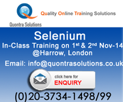 Selenium in-class Training on 1st and 2nd November 2014